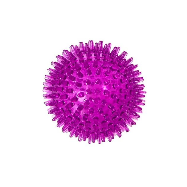 buba fialova pichliacova lopta 00-